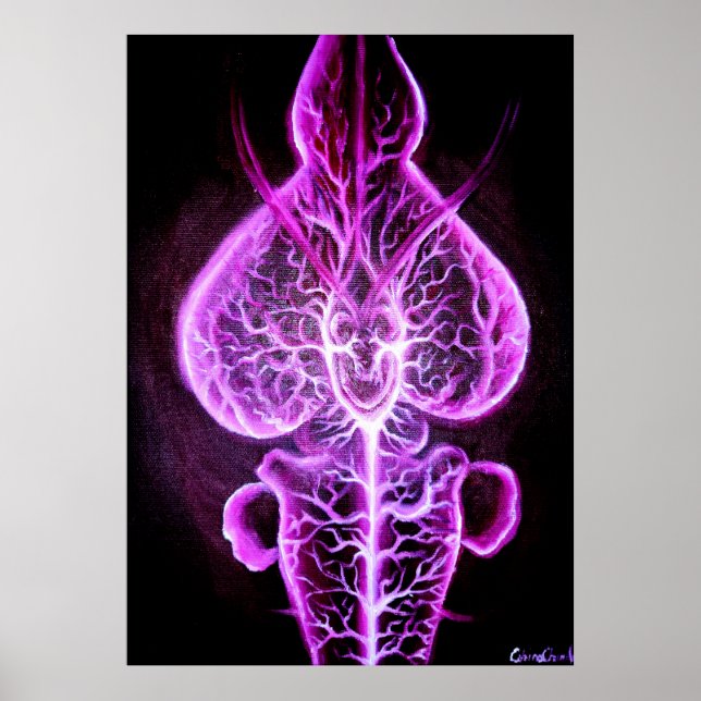 Die Vaskularisierung des Nervensystems in Roden Poster (Vorne)