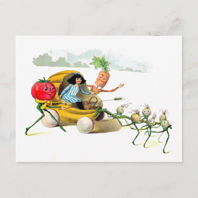 Die Vege-Männerräche Postkarte (Vorderseite)