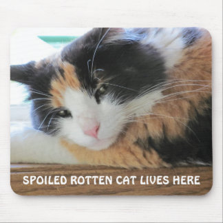 Die verdorbene verdorbene Katze lebt hier Mousepad