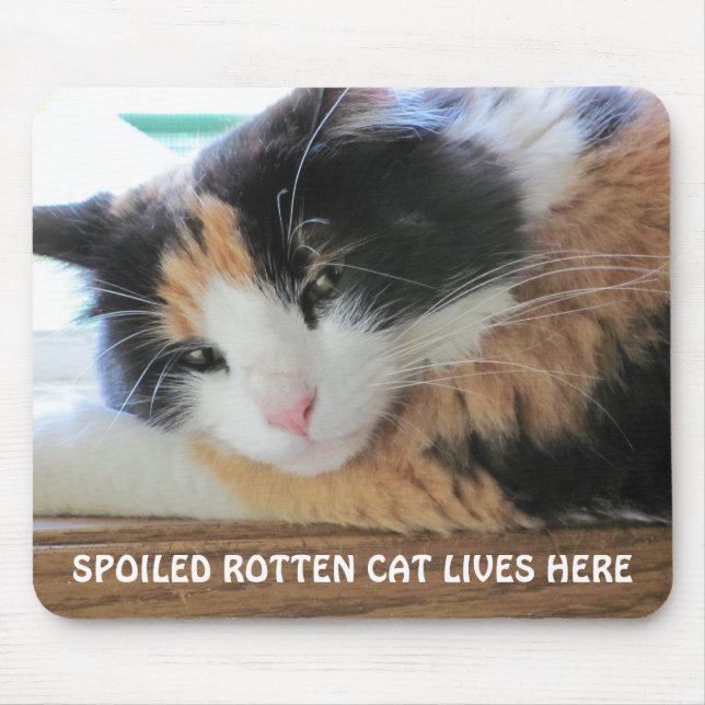Die verdorbene verdorbene Katze lebt hier Mousepad (Vorne)