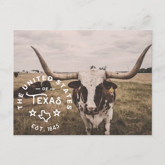 Die Vereinigten Staaten von Texas Postcard Postkarte (Vorderseite)