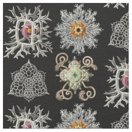 Die verfeinerten Formen der Natur Stoff