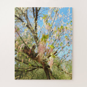 Die verlorenen Orte, die Meadowlands Natur, Frühli Puzzle