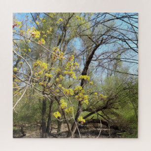 Die verlorenen Orte, die Meadowlands Natur, Frühli Puzzle