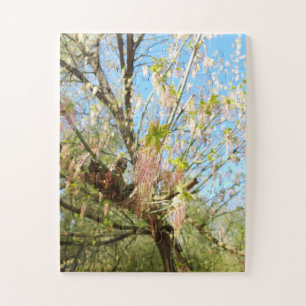 Die verlorenen Orte, die Meadowlands Natur, Frühli Puzzle