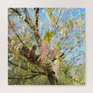 Die verlorenen Orte, die Meadowlands Natur, Frühli Puzzle