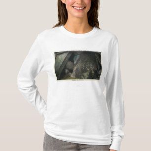 Die versteckte Hälfte fällt Ansicht des Urteils T-Shirt