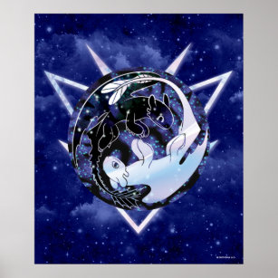 Die versteckte Welt   Symbol für Nacht und Licht Poster