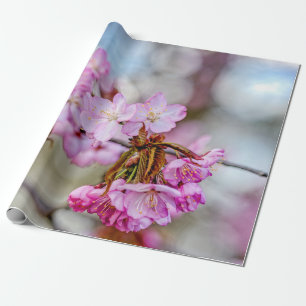 Die verworrene Schönheit der Sakura-Blüten Geschenkpapier