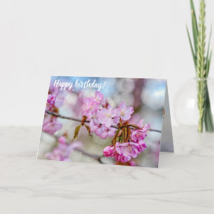 Die verworrene Schönheit der Sakura Blüten im Früh Karte
