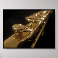 Die verzauberte Flute