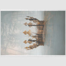 Die verzauberte Krone Jesu