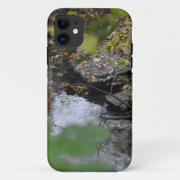 Die Verzauberungen der Erde Case-Mate iPhone Hülle