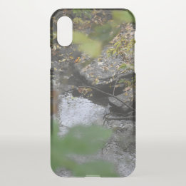 Die Verzauberungen der Erde iPhone X Hülle