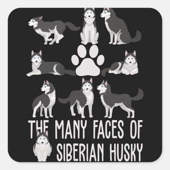 Die vielen Gesichter des sibirischen Huskys für Hu Quadratischer Aufkleber (Vorderseite)