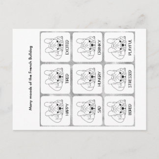 Die vielen Stimmungen eines französischen Bulldogg Postkarte