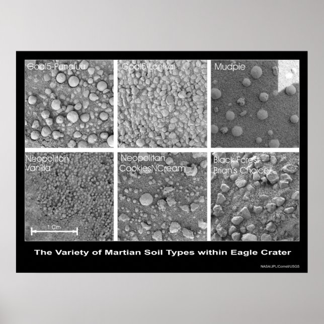 Die Vielfalt der martianischen Bodenarten im Adler Poster (Vorne)