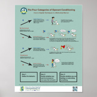 Die vier Kategorien des Operationspopsters Poster