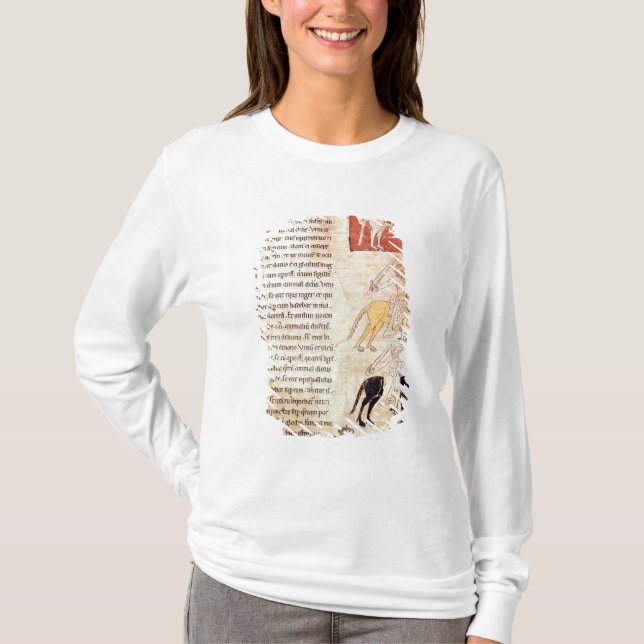 Die vier Reiter der Apokalypse T-Shirt (Vorderseite)
