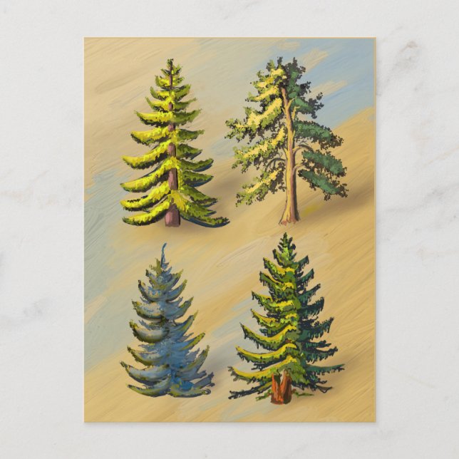 Die vier Tannenarten, Botanik. Postkarte (Vorderseite)