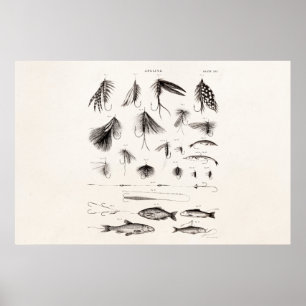 Die Vintagen 1800s, die Fliegen-Fischen angeln, Poster