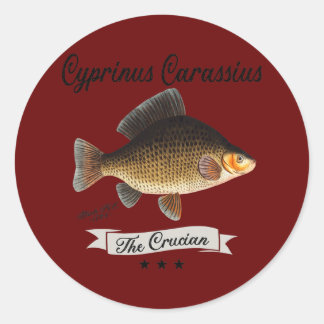 Die Vintagen Fischarten der Crucian Carp Runder Aufkleber