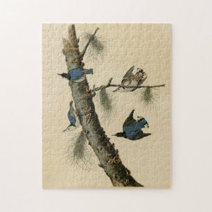 Die Vögel Amerikas von White Breasted Nuthatch Aud Puzzle