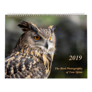 Die Vogel-Fotografie von Tom-Dorn ~ 2019 Kalender