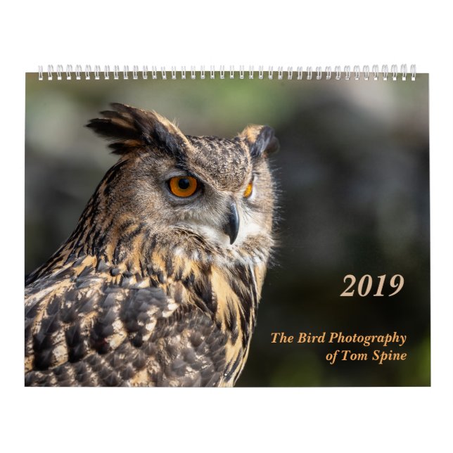 Die Vogel-Fotografie von Tom-Dorn ~ 2019 Kalender (Titelbild)