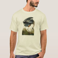 Die Vögel Graureiher-Johns Audubon von Amerika