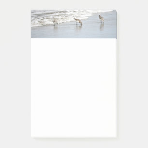 Die Vögel im Meer in den "Surf Post-it Notes" Klebezettel