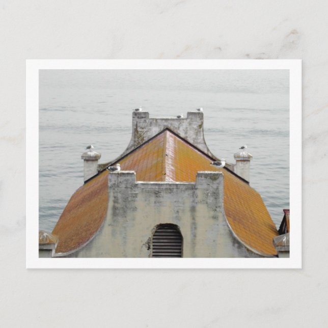 Die Vögel von Alcatraz Postkarte (Vorderseite)