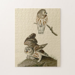 Die Vögel von Audubon in Amerika Puzzle