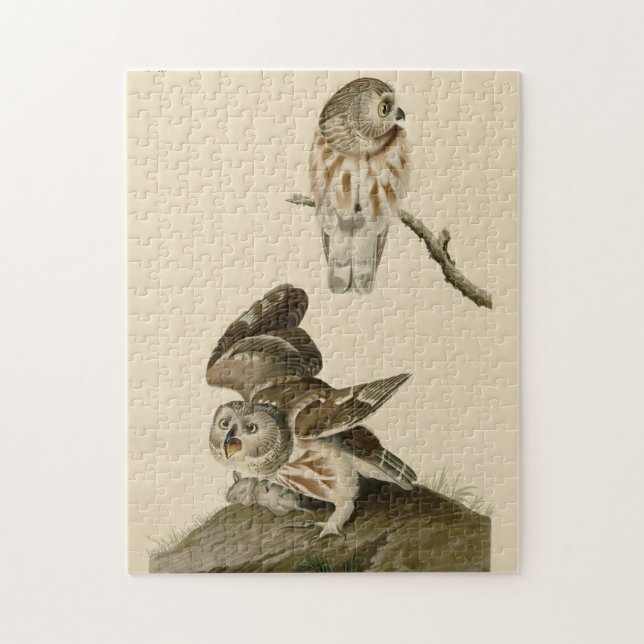 Die Vögel von Audubon in Amerika Puzzle (Vertikal)