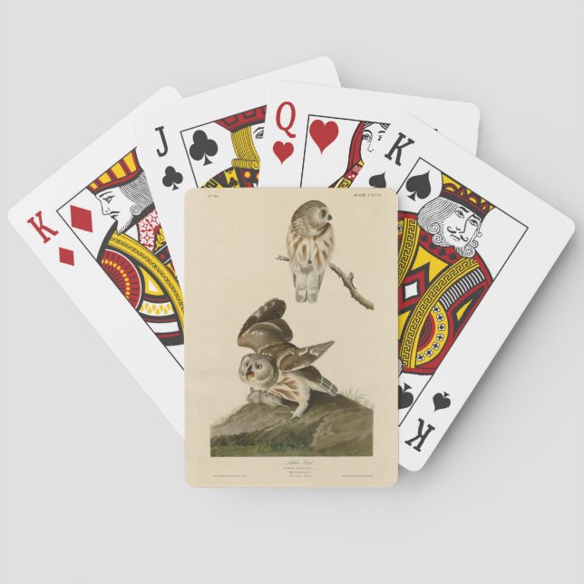 Die Vögel von Audubon in Amerika Spielkarten (Rückseite)