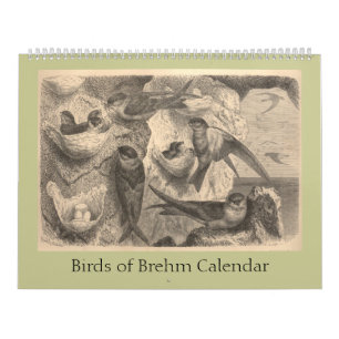 Die Vögel von Brehm Kalender