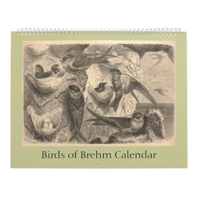 Die Vögel von Brehm Kalender (Titelbild)