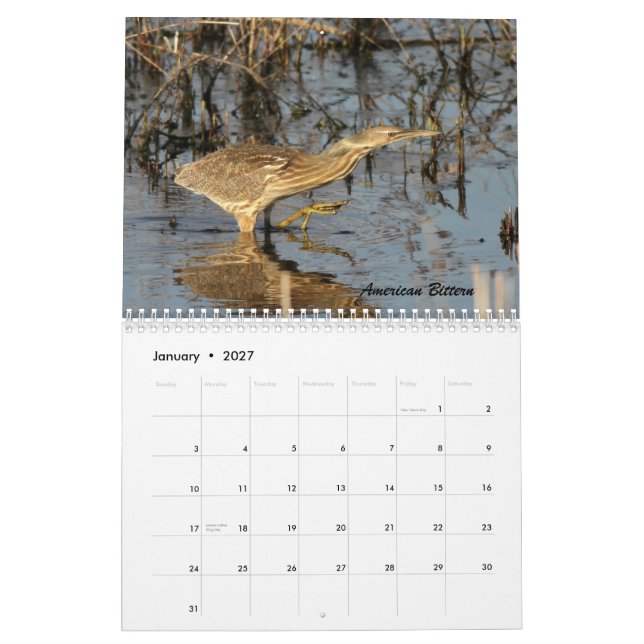 Die Vögel von Forsythe II Kalender (Jan 2027)