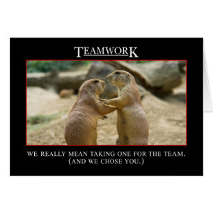 Die wahre Bedeutung der Teamarbeit