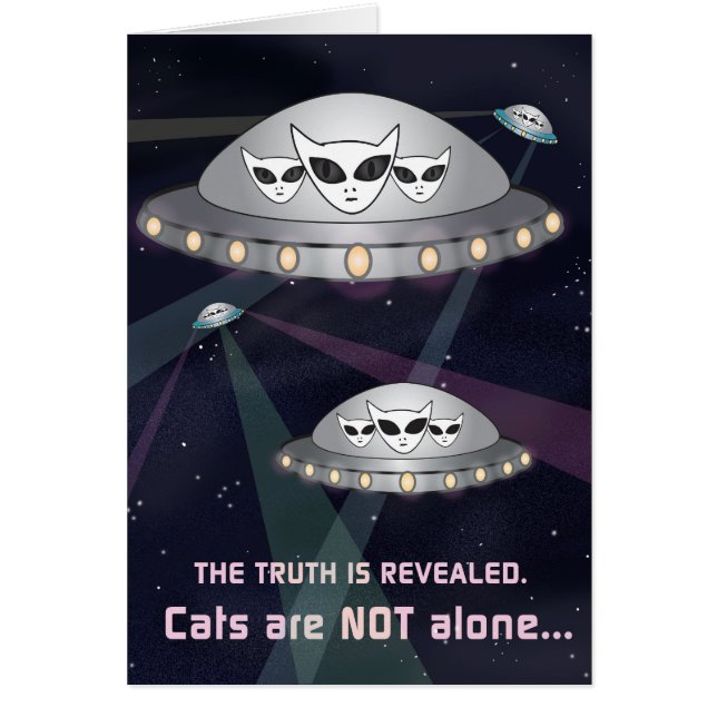 Die Wahrheit ist offen: Katzen sind nicht allein! (Vorne)