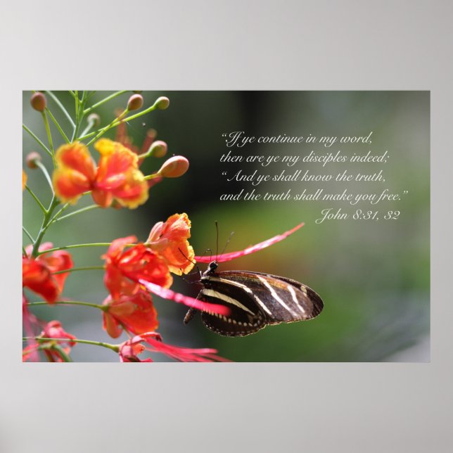 Die Wahrheit wird dir das kostenlose Poster Set, V (Vorne)