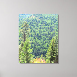 Die Wald eingewickelte Leinwand
