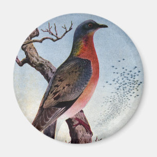 Die Wandertaube Magnet