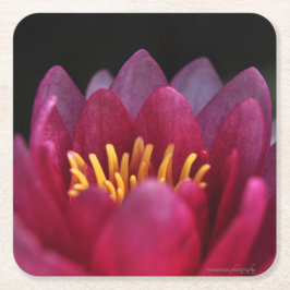 Die Wasserlilie Rechteckiger Pappuntersetzer