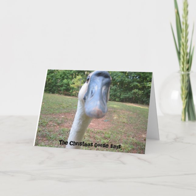 Die Weihnachtsgoose sagt: Feiertagskarte (Vorderseite)