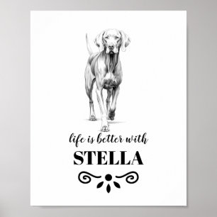 Die Weimaraner Lebensdauer ist mit dem benutzerdef Poster