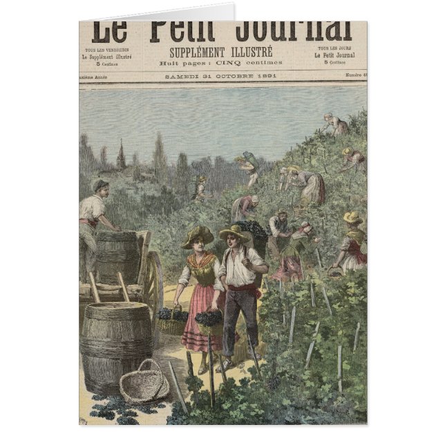 Die Wein-Ernte (Vorne)