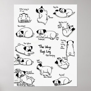Die Weisen-Mops-Lage Poster