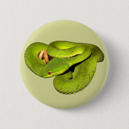 Die weiß-lippige Grubenviper Button