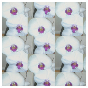 DIE WEISSE ORCHIGE GESTALTUNG STOFF
